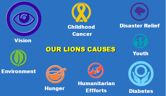 Lions Causes